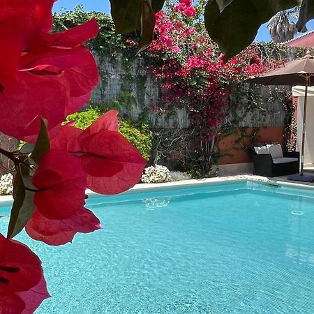 Studio With Private Swimming Pool And Garden Cascais Exterior foto